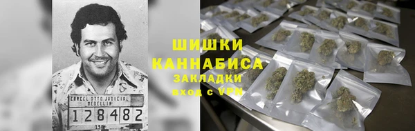амф Вязьма