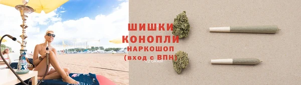 гидра Володарск