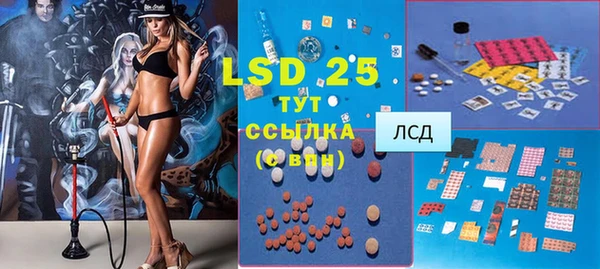гидра Володарск