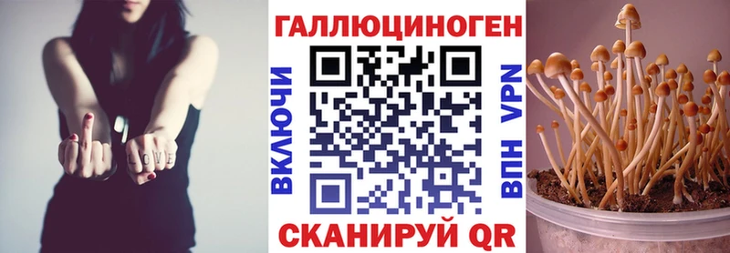 Галлюциногенные грибы прущие грибы Хасавюрт