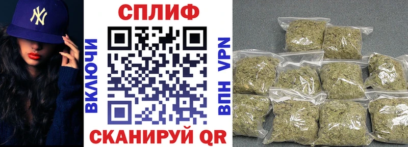 дарк нет официальный сайт  Хасавюрт  Бошки марихуана марихуана 